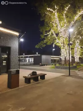 Помещение свободного назначения (11.6 м)