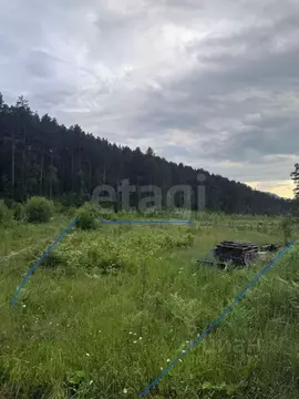 Участок в Алтай, Майминский район, с. Манжерок  (11.5 сот.)