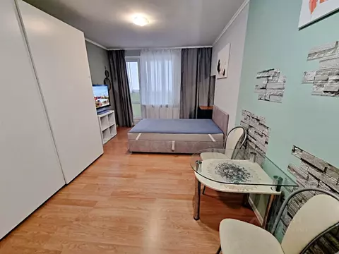 Студия Санкт-Петербург пос. Шушары, Первомайская ул., 5к2 (24.0 м)