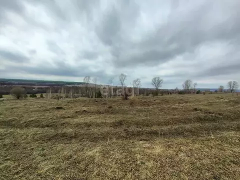 Участок в Башкортостан, Гафурийский район, Красноусольский сельсовет, ...