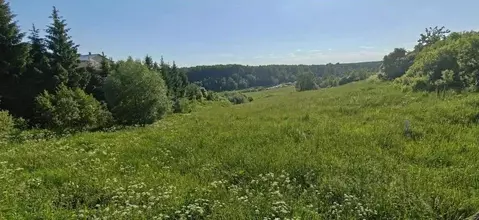 Участок в Московская область, Рузский муниципальный округ, д. Леньково ...