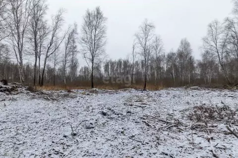 Участок в Тюменская область, Тюменский муниципальный округ, Каменское ...