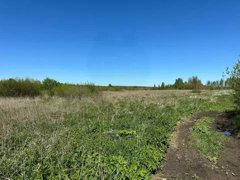 Участок в Свердловская область, Верхнее Дуброво пгт ул. Свободы (630.0 ...