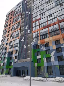 Студия Санкт-Петербург ул. Крыленко, 1к1с6 (25.0 м)