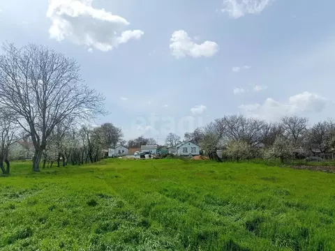 Участок в Крым, Симферопольский район, с. Мазанка ул. Мира (7.0 сот.)