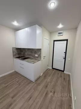 Студия Самарская область, Самара Никитинская ул., 53 (15.3 м)