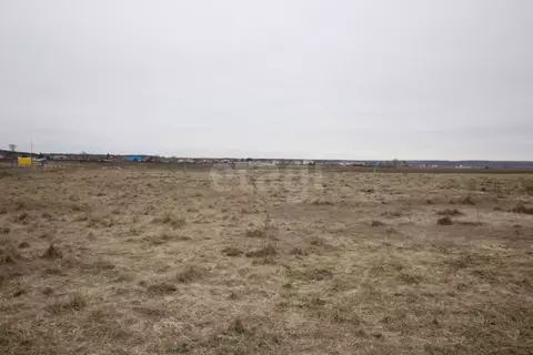 Участок в Калужская область, Дзержинский муниципальный округ, с. ...