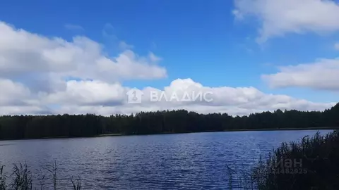 Участок в Владимирская область, Судогодский район, д. Коняево ...