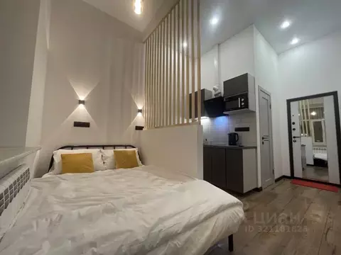 1-к кв. Санкт-Петербург Невский просп., 65 (18.0 м)