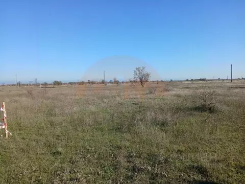 Участок в Крым, Симферопольский район, Николаевка пгт ул. Ленина (6.0 ...