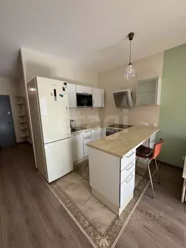 Студия Санкт-Петербург наб. Обводного Канала, 108 (31.5 м)