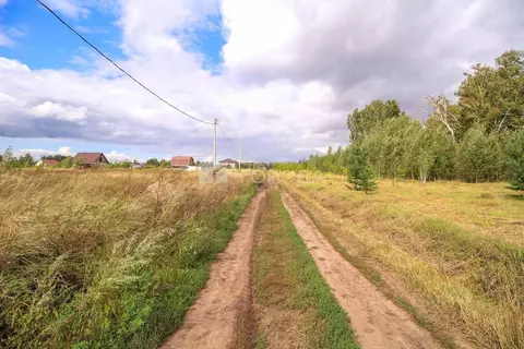 Участок в Алтайский край, Первомайский район, пос. Новый ул. Высоцкого ...