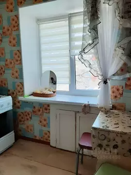 1-к кв. Омская область, Омск пос. Амурский, ул. Арсеньева, 10А (30.0 ...