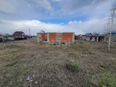Участок в Алтайский край, Барнаул городской округ, пос. Новомихайловка ...
