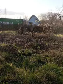 Участок в Калининградская область, Гурьевский муниципальный округ, ...