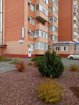 1-к кв. Ростовская область, Волгодонск ул. Энтузиастов, 8 (40.1 м)