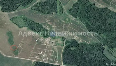 Участок в Тюменская область, Тюменский район, с. Кулига ул. ...