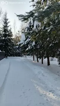 Участок в Московская область, муниципальный округ Чехов, деревня ...