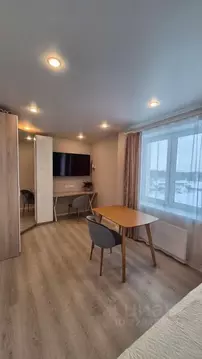 1-к кв. Санкт-Петербург пос. Шушары, Московское ш., 256к6 (35.8 м)