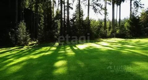 Участок в Пермский край, Пермь Надежда-1 СНТ, 52 (6.0 сот.)