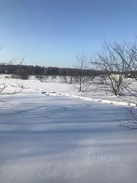 Участок в Московская область, Зарайск муниципальный округ, д. ...