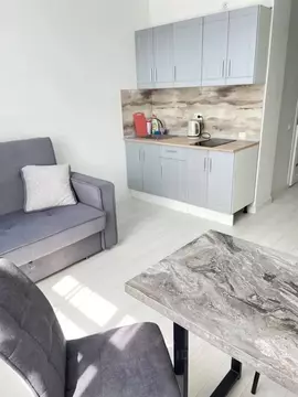 Студия Тюменская область, Тюмень ул. Алматинская, 6 (20.0 м)