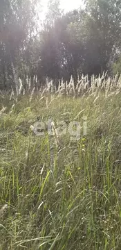 Участок в Калужская область, Перемышль с/пос, д. Поляна  (14.0 сот.)