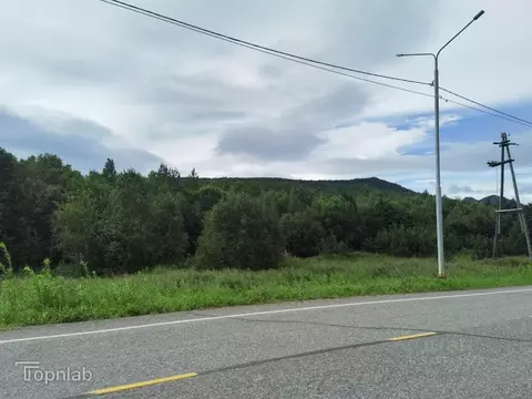 Участок в Камчатский край, Елизово ул. Виталия Кручины (10.0 сот.)