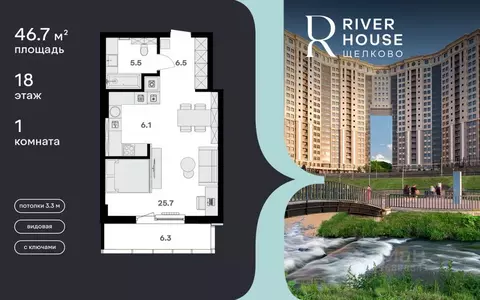 Студия Московская область, Щелково Советская ул., 60 (46.7 м)