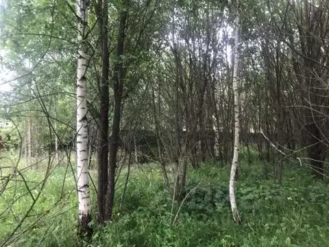 Участок в Владимирская область, Александровский муниципальный округ, ...