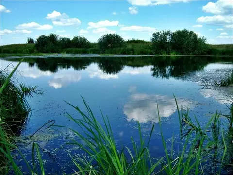 Участок в Рязанская область, Шиловский район, Ерахтурское с/пос  (2.4 ...