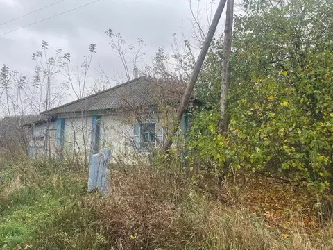 Дом в Алтайский край, Топчихинский район, с. Сидоровка Садовая ул. (46 ...