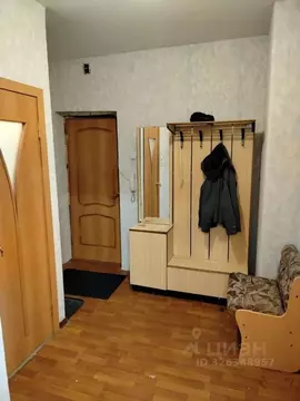 1-к кв. Санкт-Петербург, Санкт-Петербург, Пушкин Малиновская ул., 7 ...