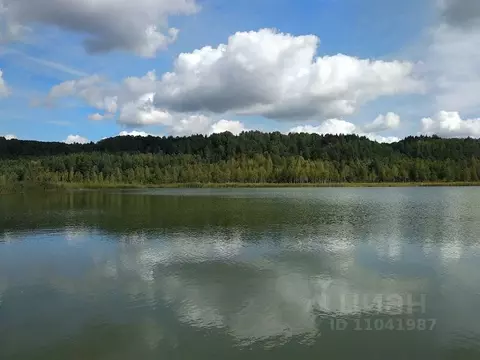 Участок в Псковская область, Пушкинские Горы рп  (13.85 сот.)