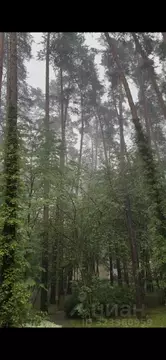 Участок в Московская область, Одинцовский городской округ, пос. ...