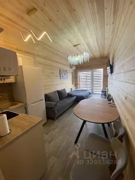 1-к кв. Владимирская область, Суздаль ул. Троицкая, 23 (25.0 м)