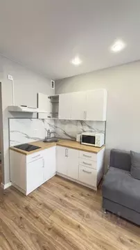 Студия Тюменская область, Тюмень Подгорная ул., 61к1 (23.0 м)