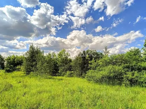 Участок в Московская область, Раменский муниципальный округ, д. ...