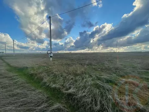 Участок в Крым, Сакский район, Уютненское с/пос, Братские дачи кп  ...