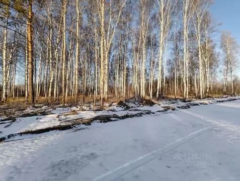 Участок в Тюменская область, Нижнетавдинский муниципальный округ, ...