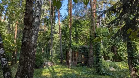 Участок в Московская область, Одинцовский городской округ, пос. ...