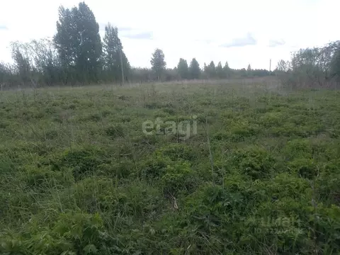 Участок в Архангельская область, Приморский муниципальный округ, д. ...