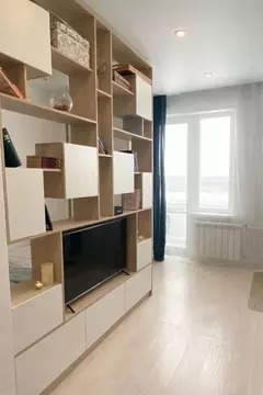 Студия Московская область, Долгопрудный Парковая ул., 52 (24.6 м)