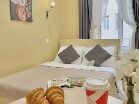 1-к кв. Санкт-Петербург Литейный просп., 61 (14.0 м)