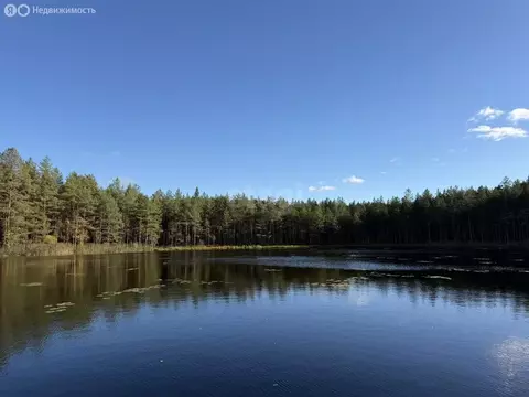 Участок в Серебрянское сельское поселение, деревня Алексеевка, Новая ...