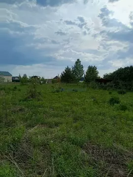 Участок в Нижегородская область, Богородский муниципальный округ, д. ...