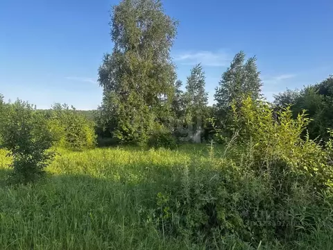 Участок в Амурская область, Благовещенск  (7.87 сот.)