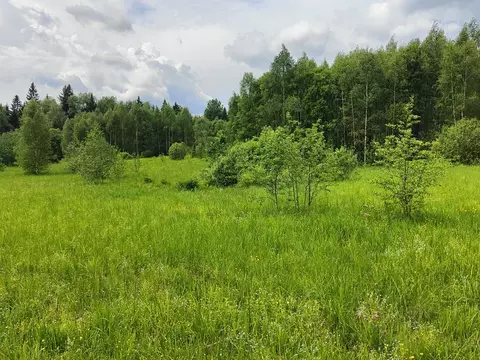 Участок в Московская область, Рузский муниципальный округ, д. Филатово ...