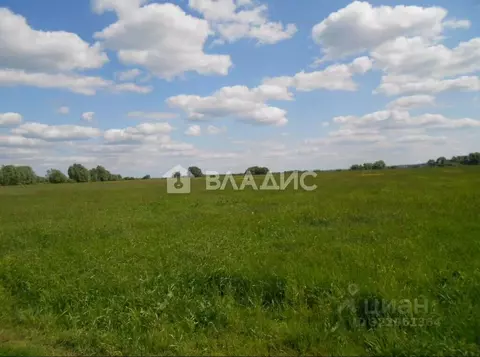 Участок в Владимирская область, Владимир д. Шепелево, ул. Придорожная ...