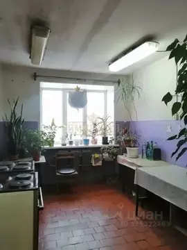 Комната Марий Эл, Йошкар-Ола ул. Прохорова, 29 (16.6 м)